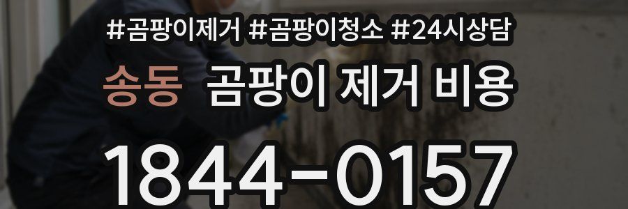 송동 곰팡이 제거 비용