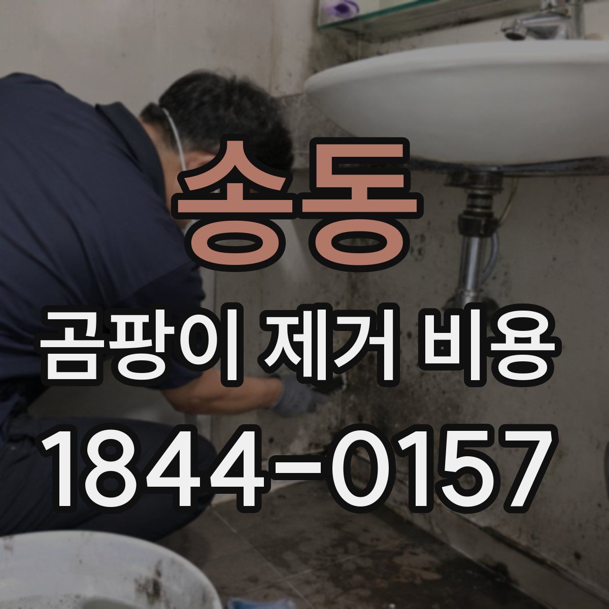송동 곰팡이 제거 비용