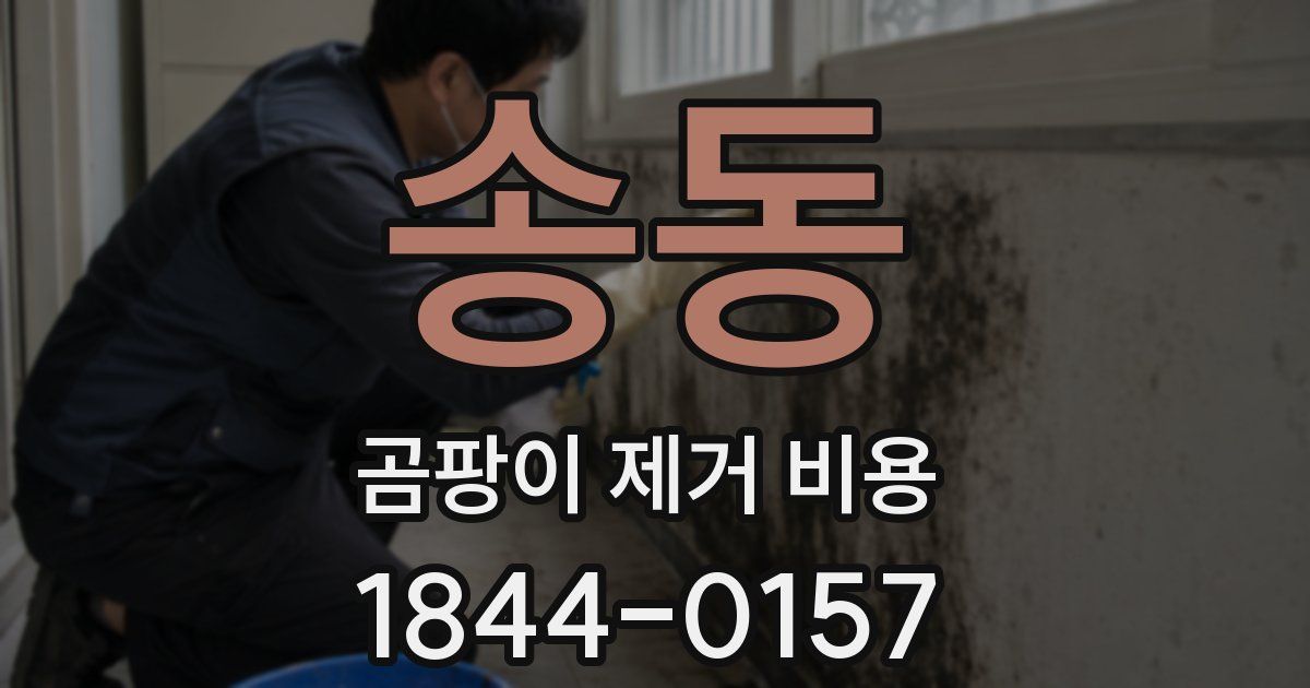 송동 곰팡이 제거 비용