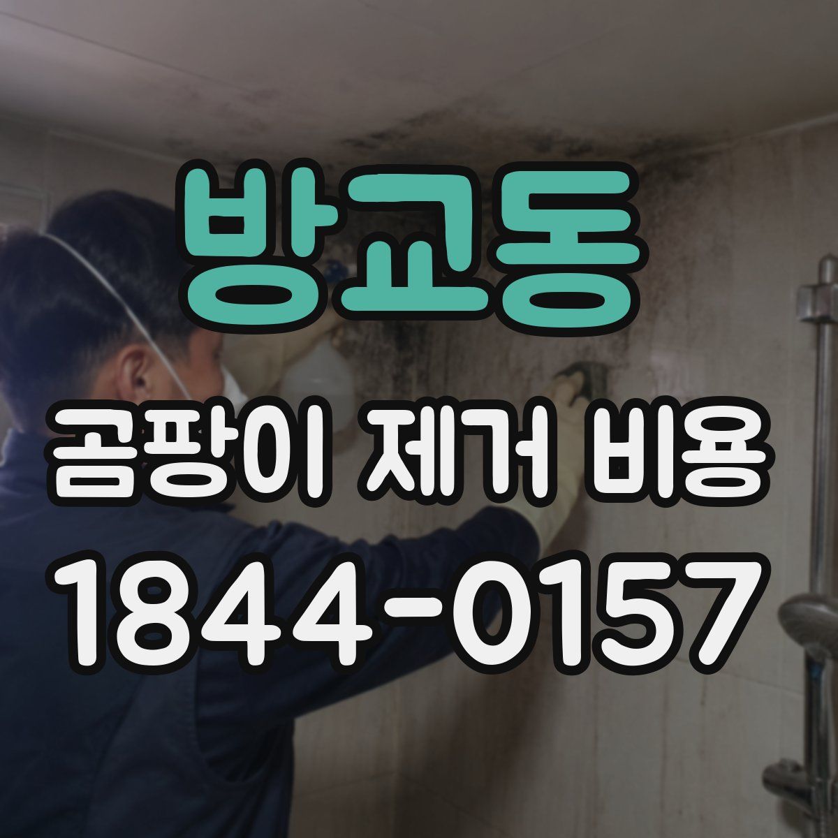 방교동 곰팡이 제거 비용