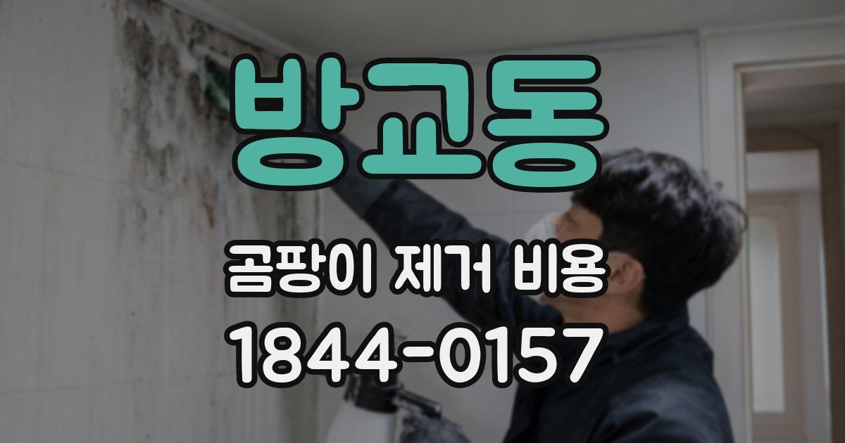 방교동 곰팡이 제거 비용