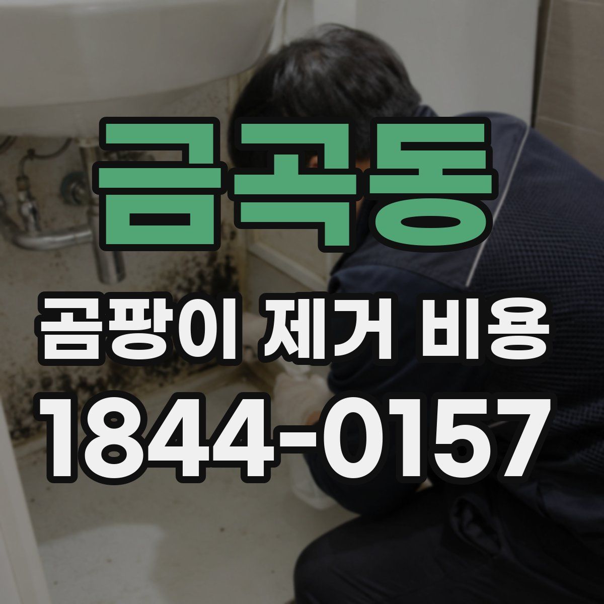 금곡동 곰팡이 제거 비용