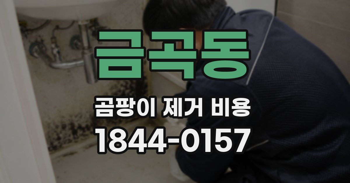 금곡동 곰팡이 제거 비용