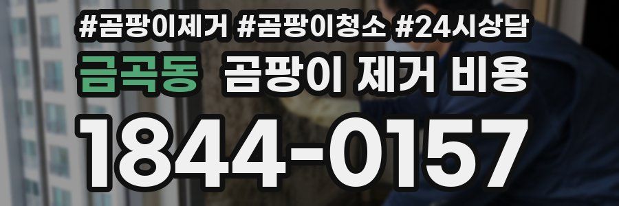 금곡동 곰팡이 제거 비용