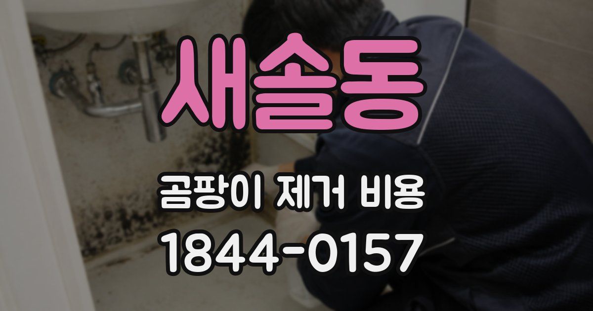 새솔동 곰팡이 제거 비용