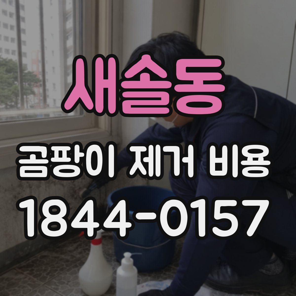 새솔동 곰팡이 제거 비용