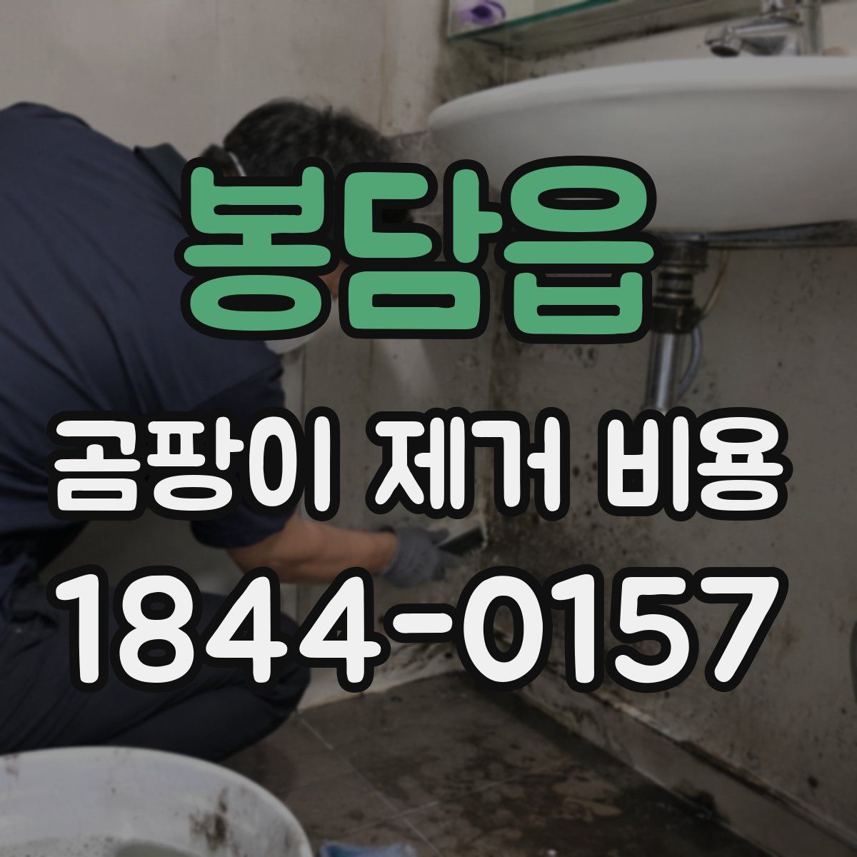 봉담읍 곰팡이 제거 비용