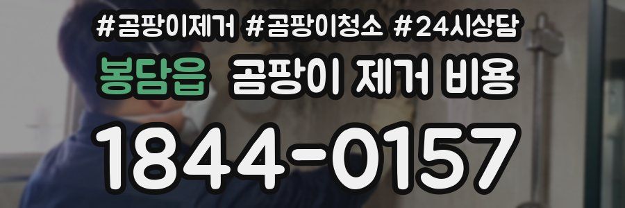 봉담읍 곰팡이 제거 비용