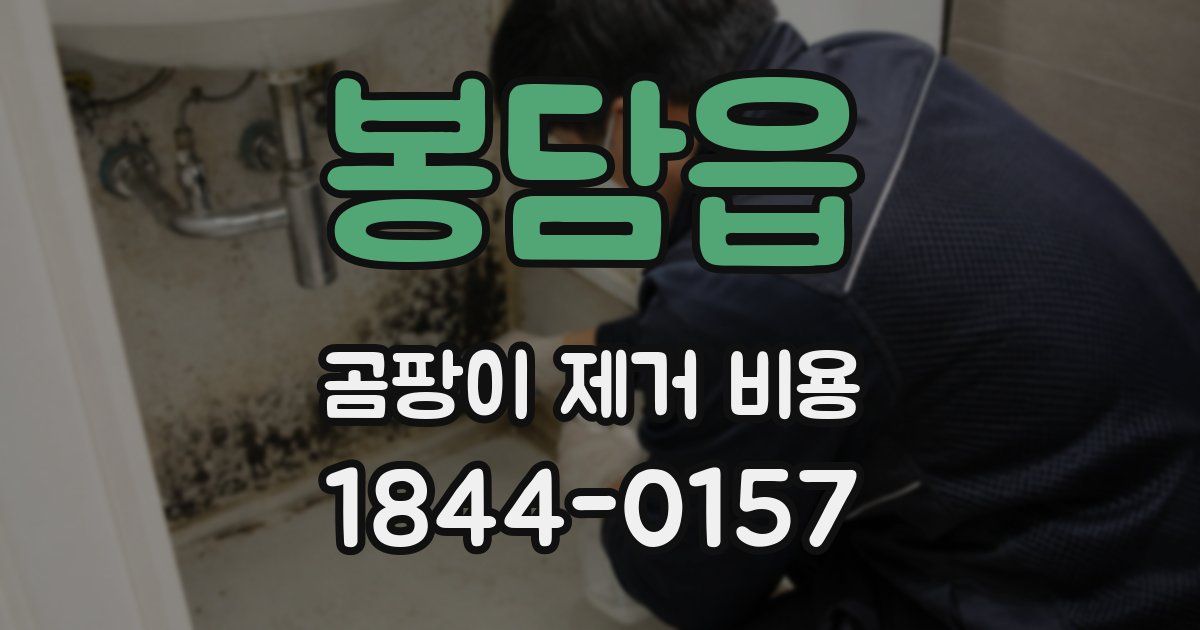 봉담읍 곰팡이 제거 비용