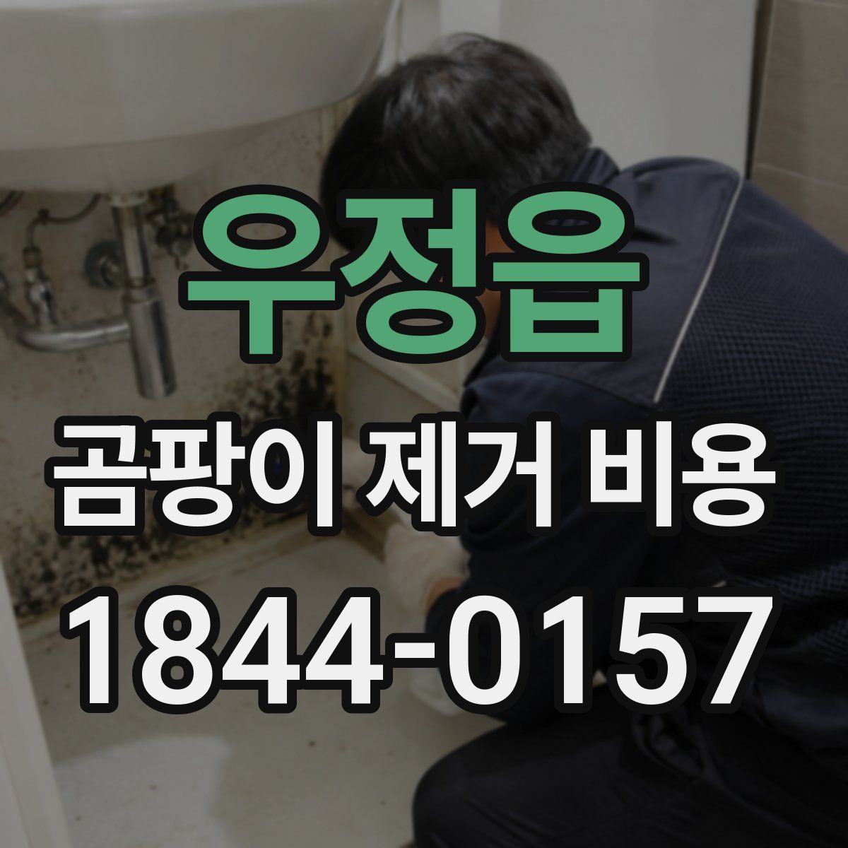 우정읍 곰팡이 제거 비용