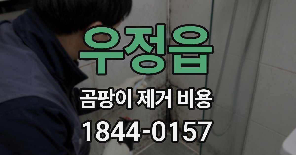 우정읍 곰팡이 제거 비용