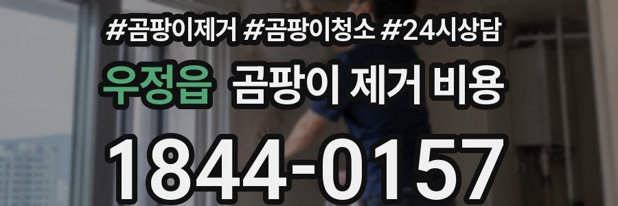 우정읍 곰팡이 제거 비용