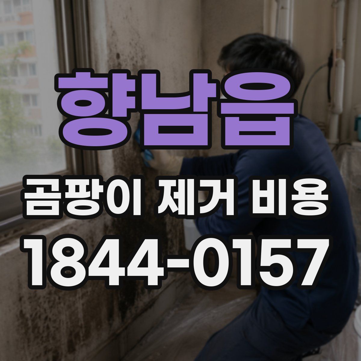 향남읍 곰팡이 제거 비용