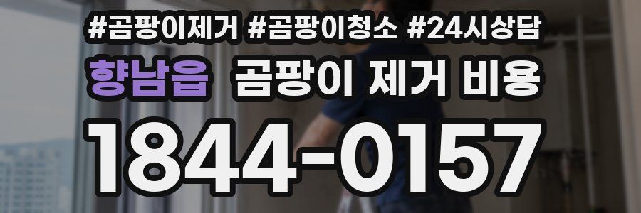 향남읍 곰팡이 제거 비용