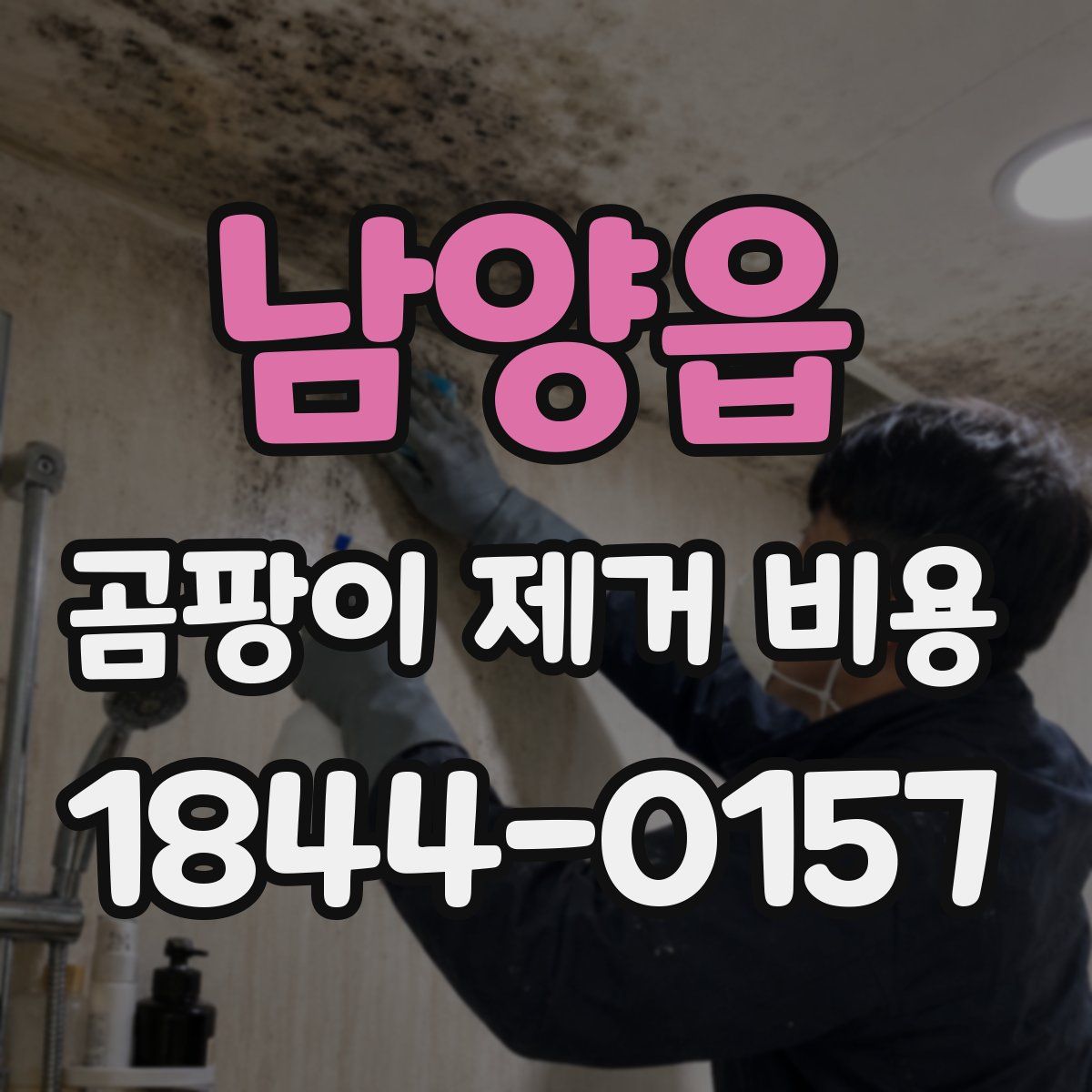 남양읍 곰팡이 제거 비용