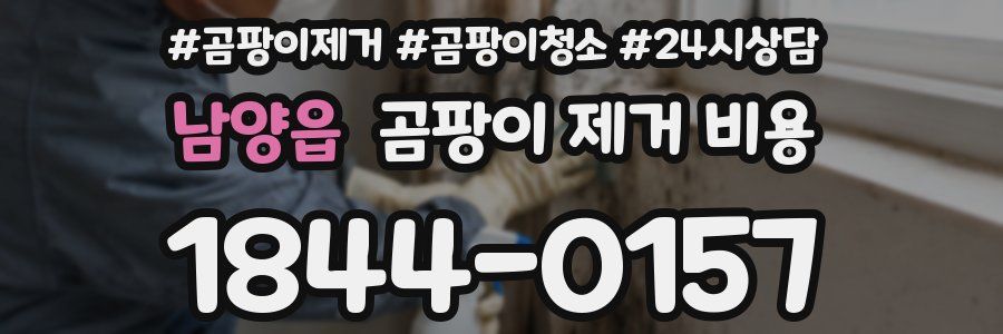 남양읍 곰팡이 제거 비용