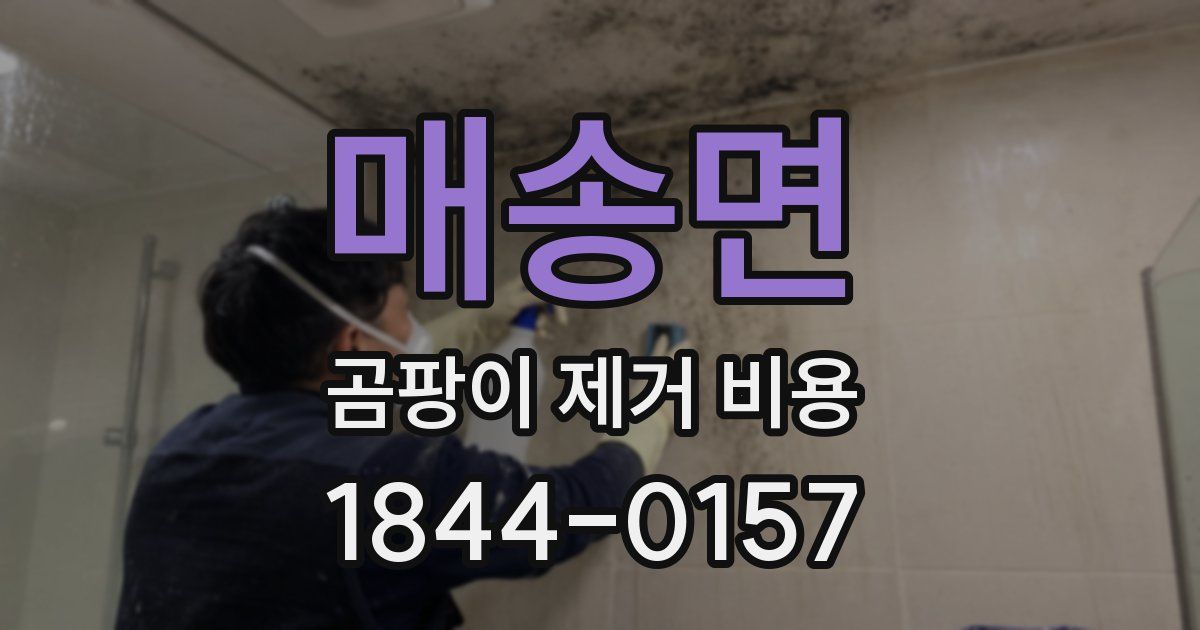 매송면 곰팡이 제거 비용