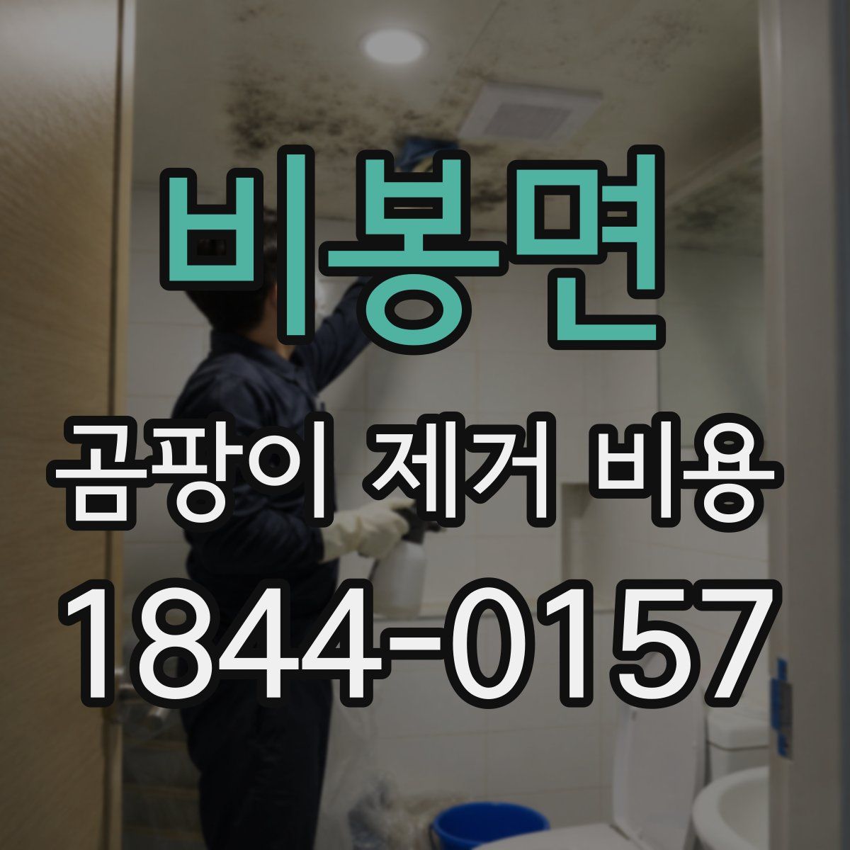 비봉면 곰팡이 제거 비용