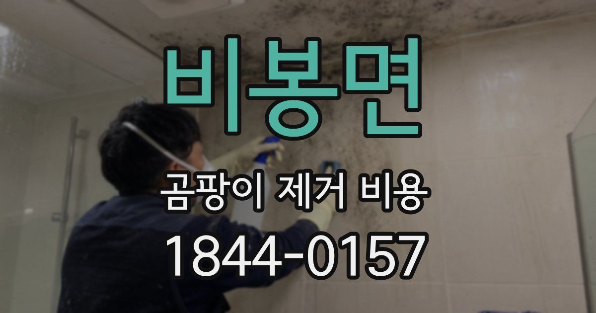 비봉면 곰팡이 제거 비용