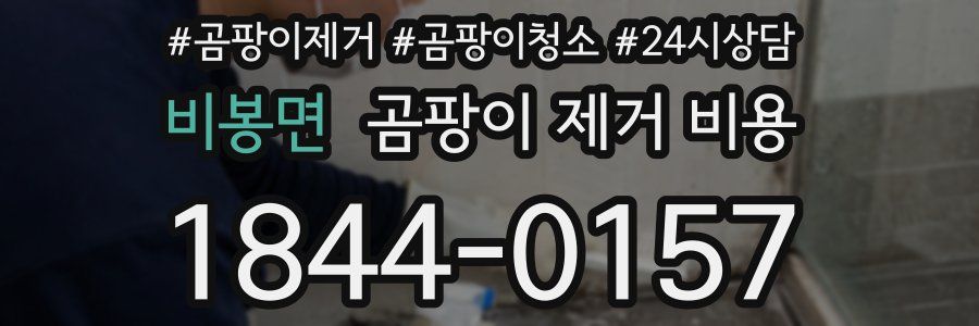 비봉면 곰팡이 제거 비용