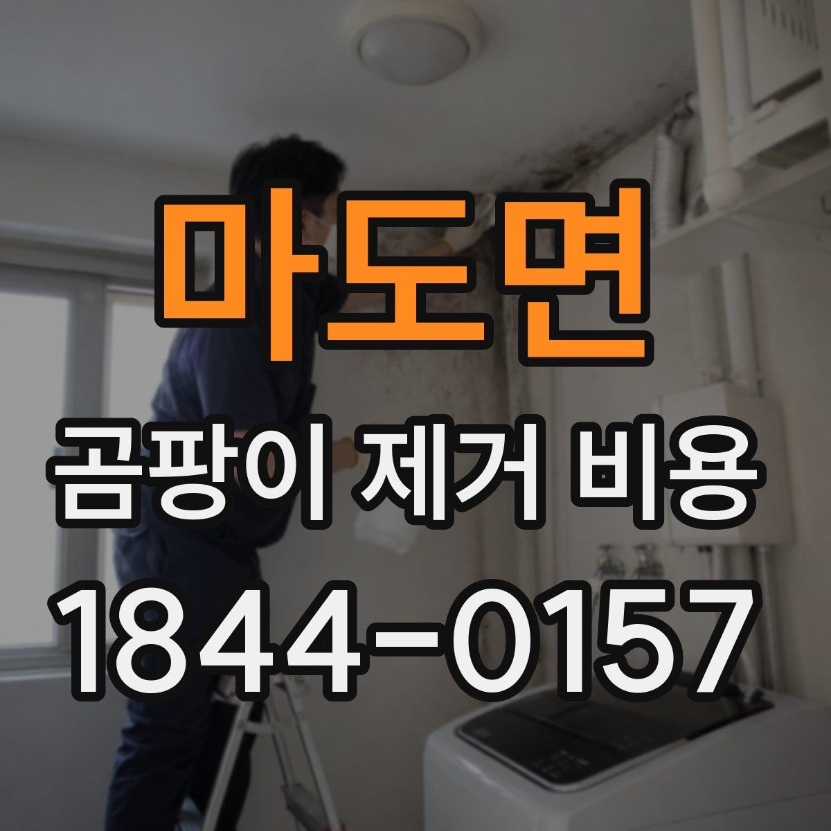 마도면 곰팡이 제거 비용