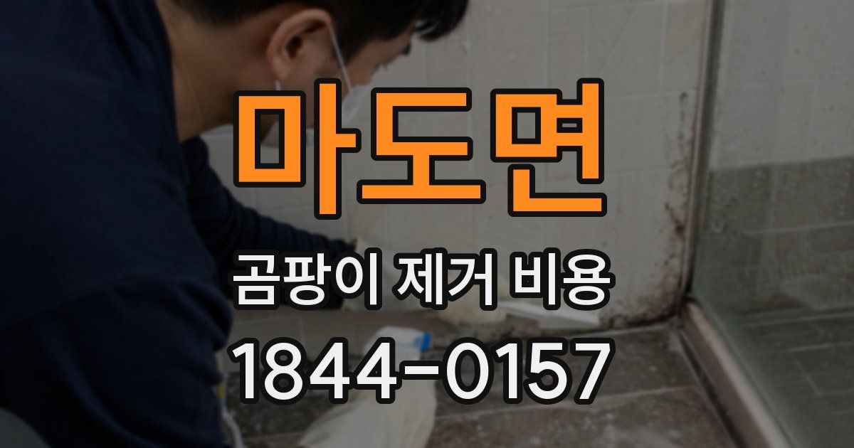 마도면 곰팡이 제거 비용