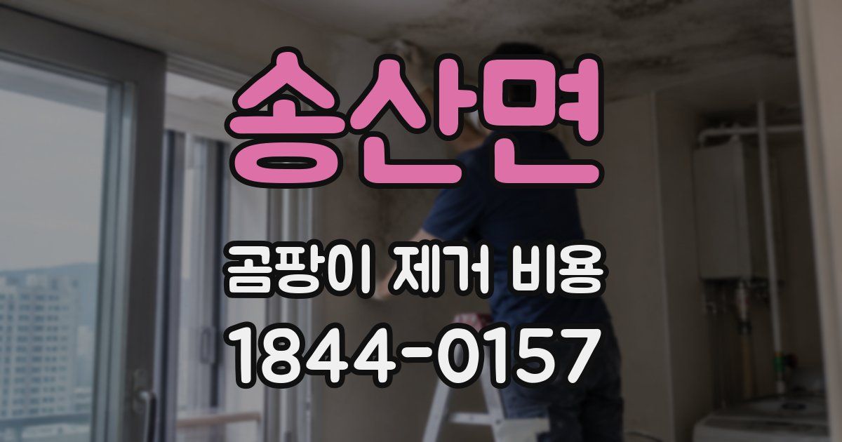 송산면 곰팡이 제거 비용