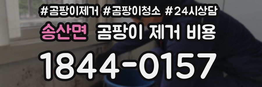 송산면 곰팡이 제거 비용