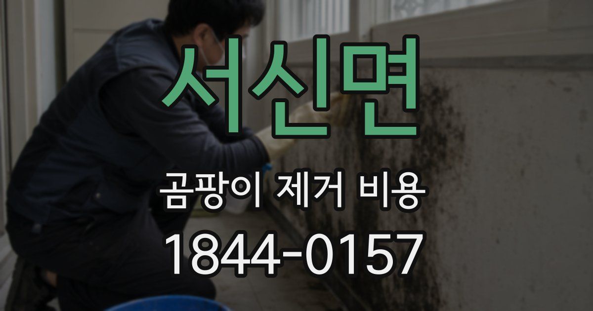 서신면 곰팡이 제거 비용