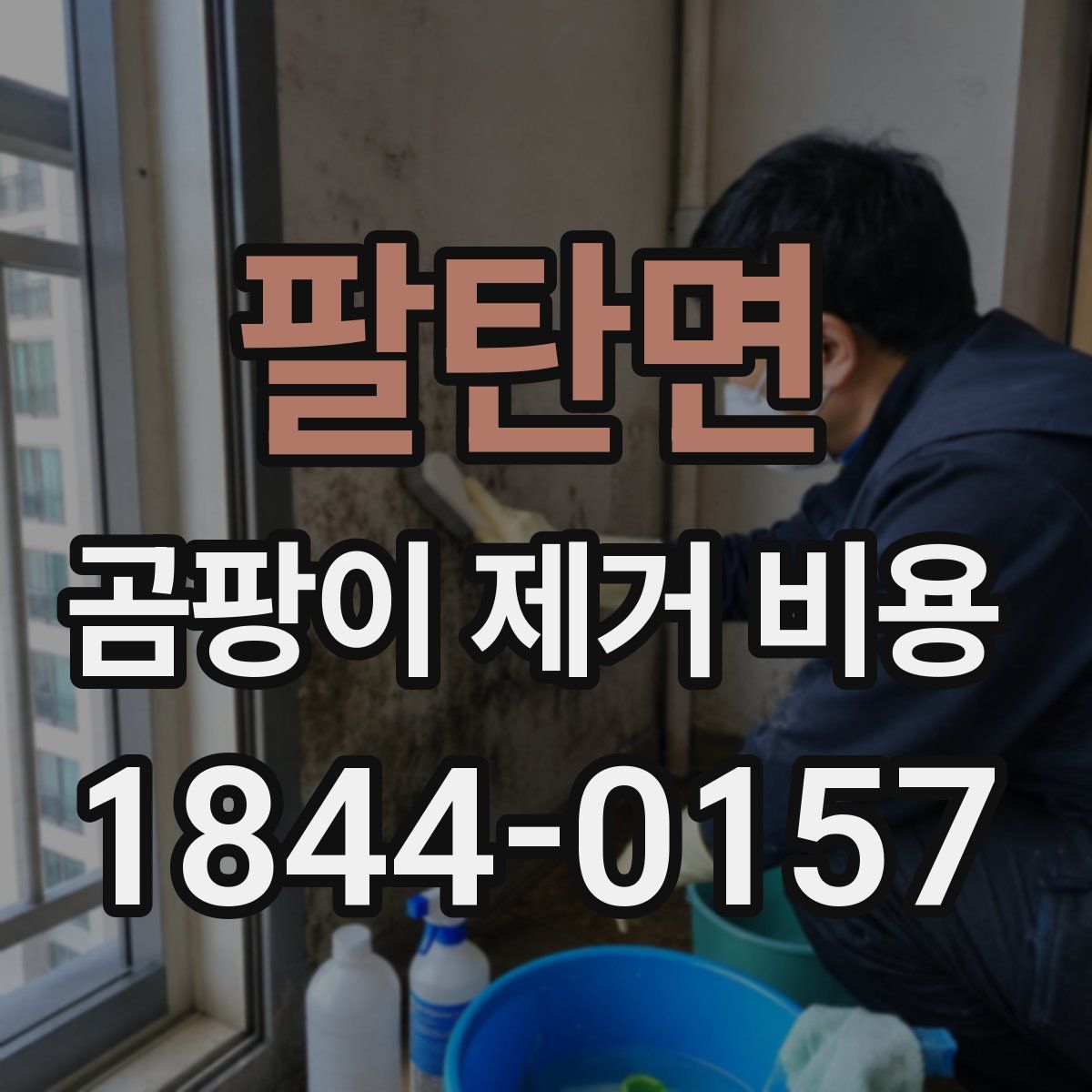팔탄면 곰팡이 제거 비용