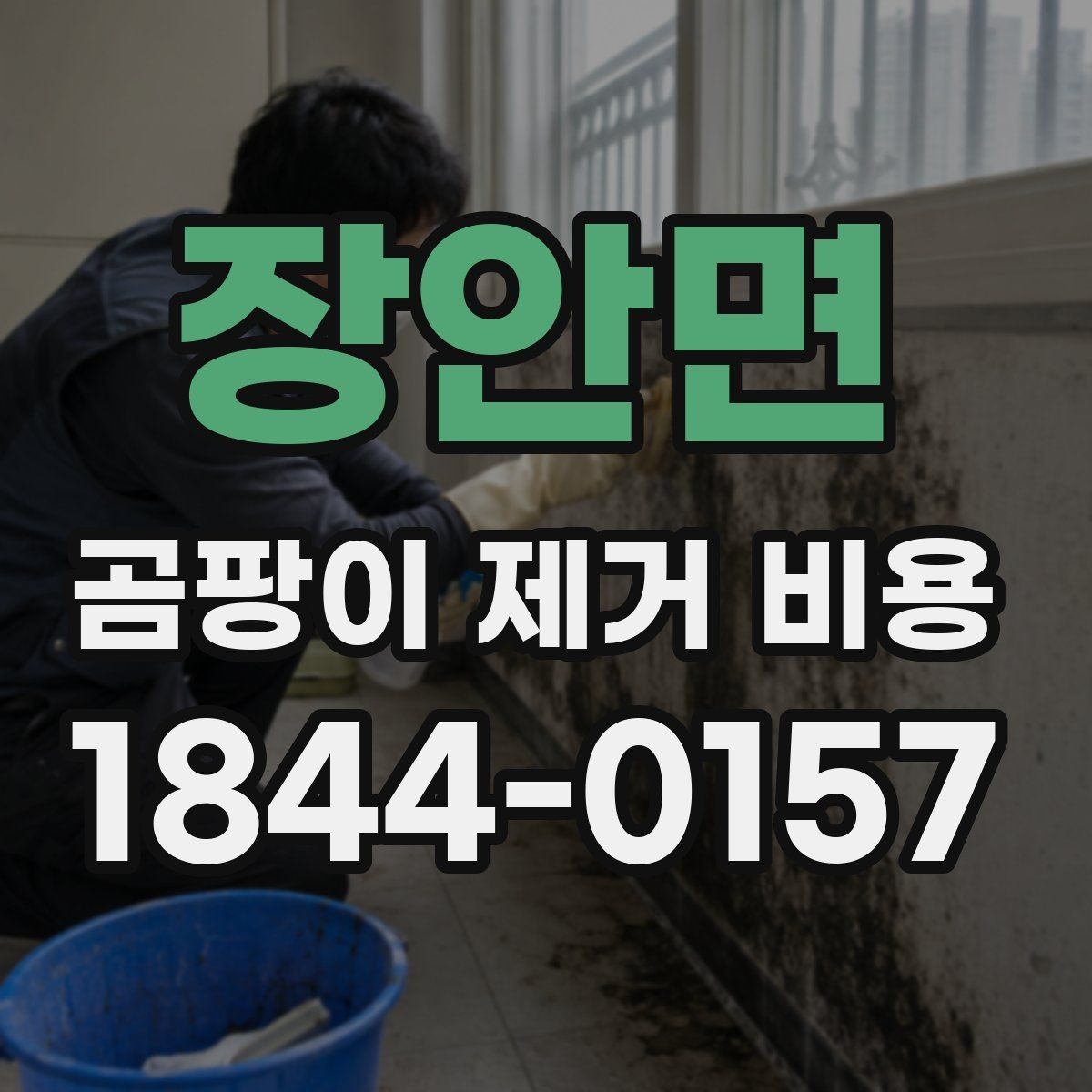 장안면 곰팡이 제거 비용 다세대 주택 공사에서 민원 적은 진행 방법