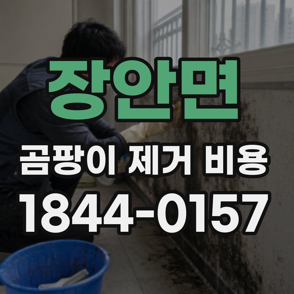 장안면 곰팡이 제거 비용