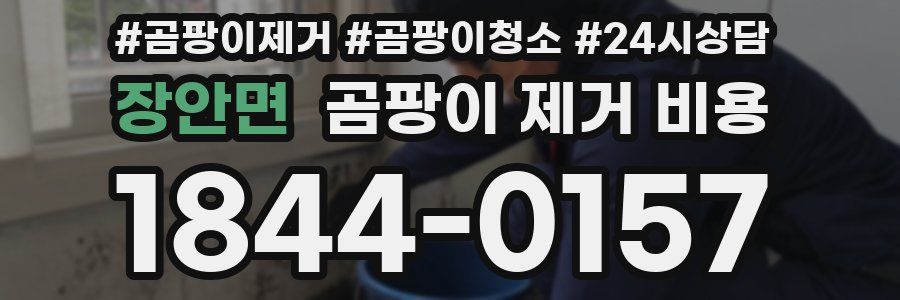 장안면 곰팡이 제거 비용