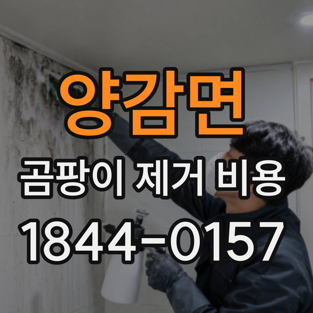 양감면 곰팡이 제거 비용