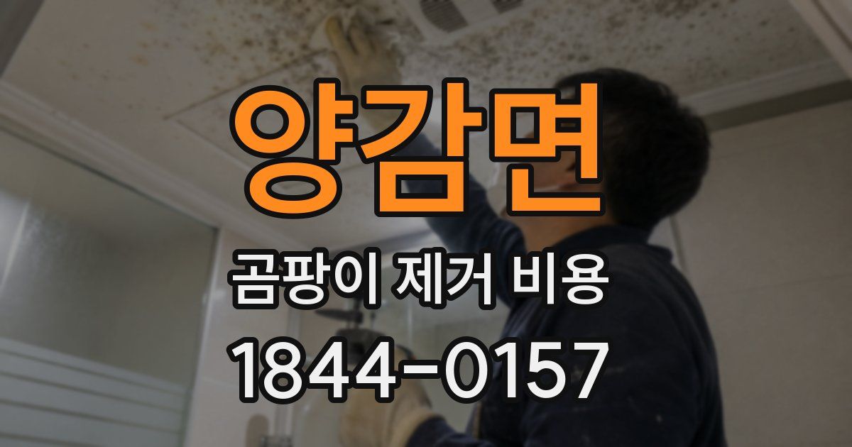 양감면 곰팡이 제거 비용