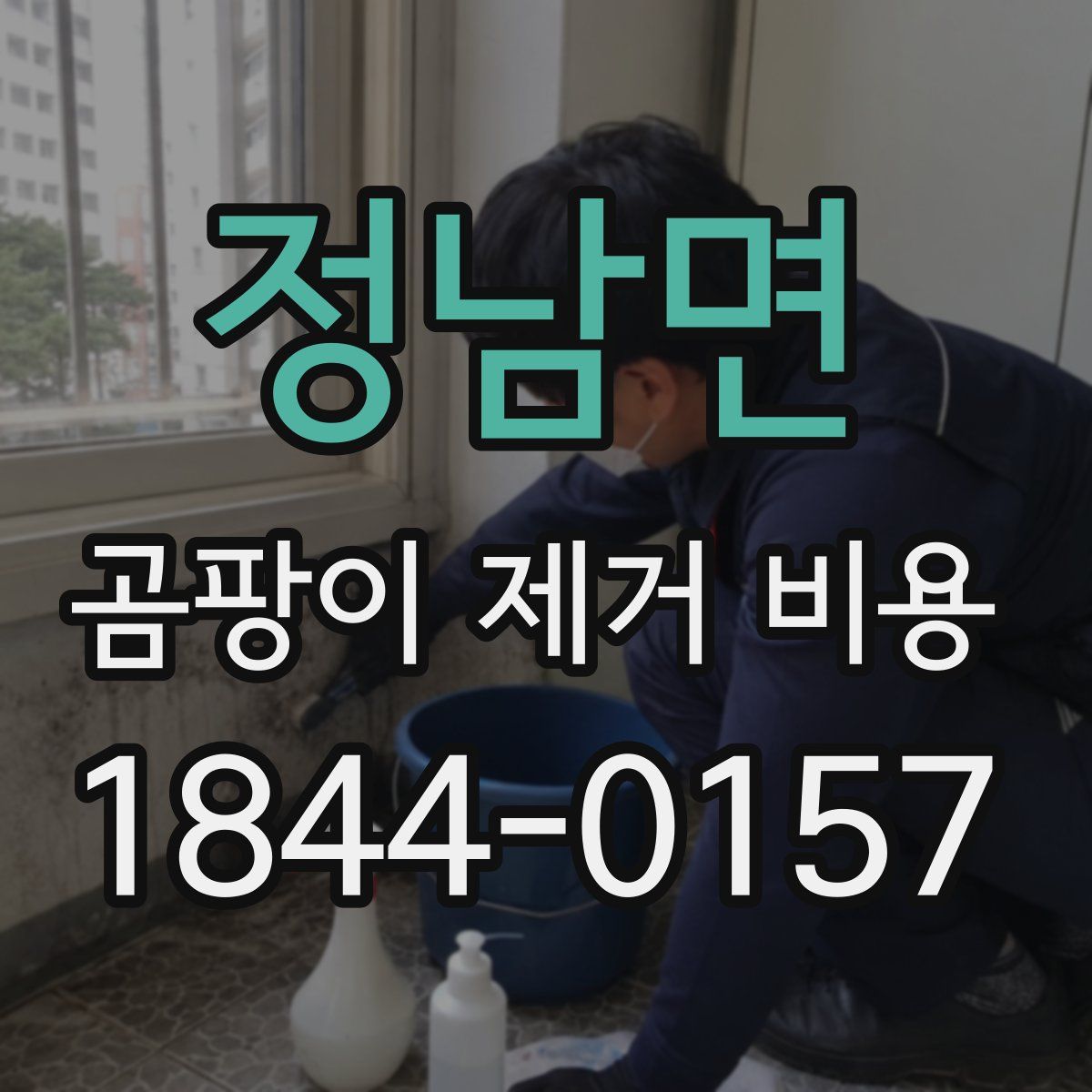 정남면 곰팡이 제거 비용