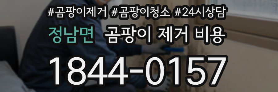 정남면 곰팡이 제거 비용