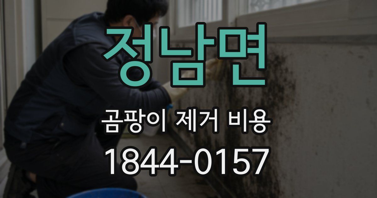 정남면 곰팡이 제거 비용
