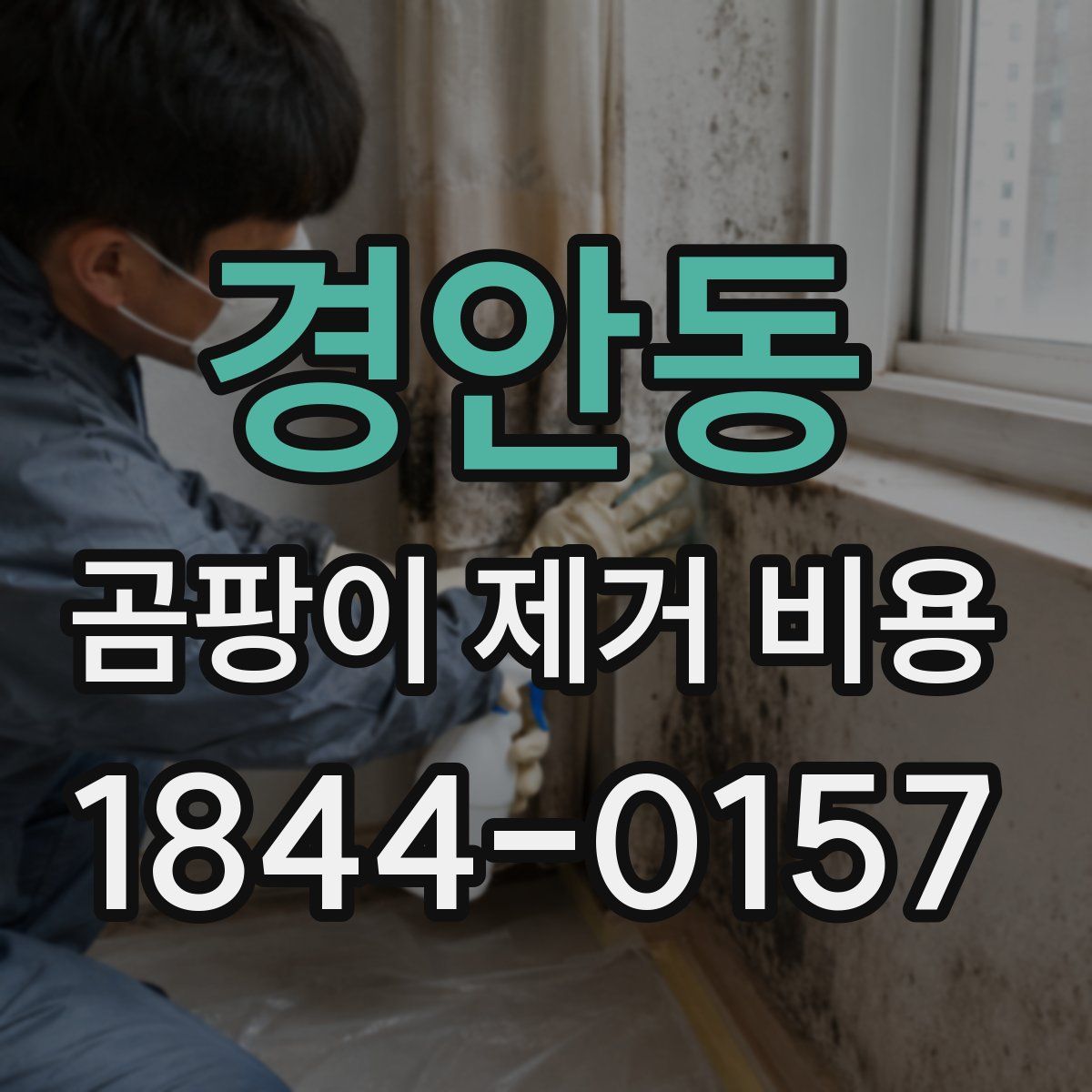 경안동 곰팡이 제거 비용