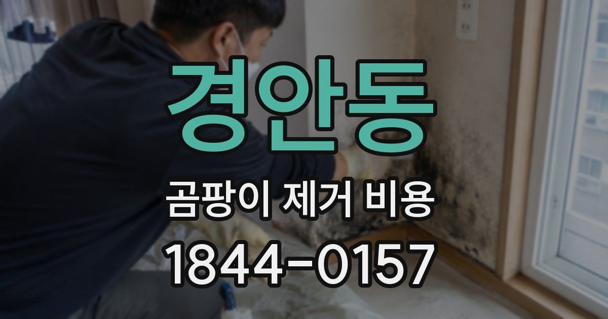 경안동 곰팡이 제거 비용