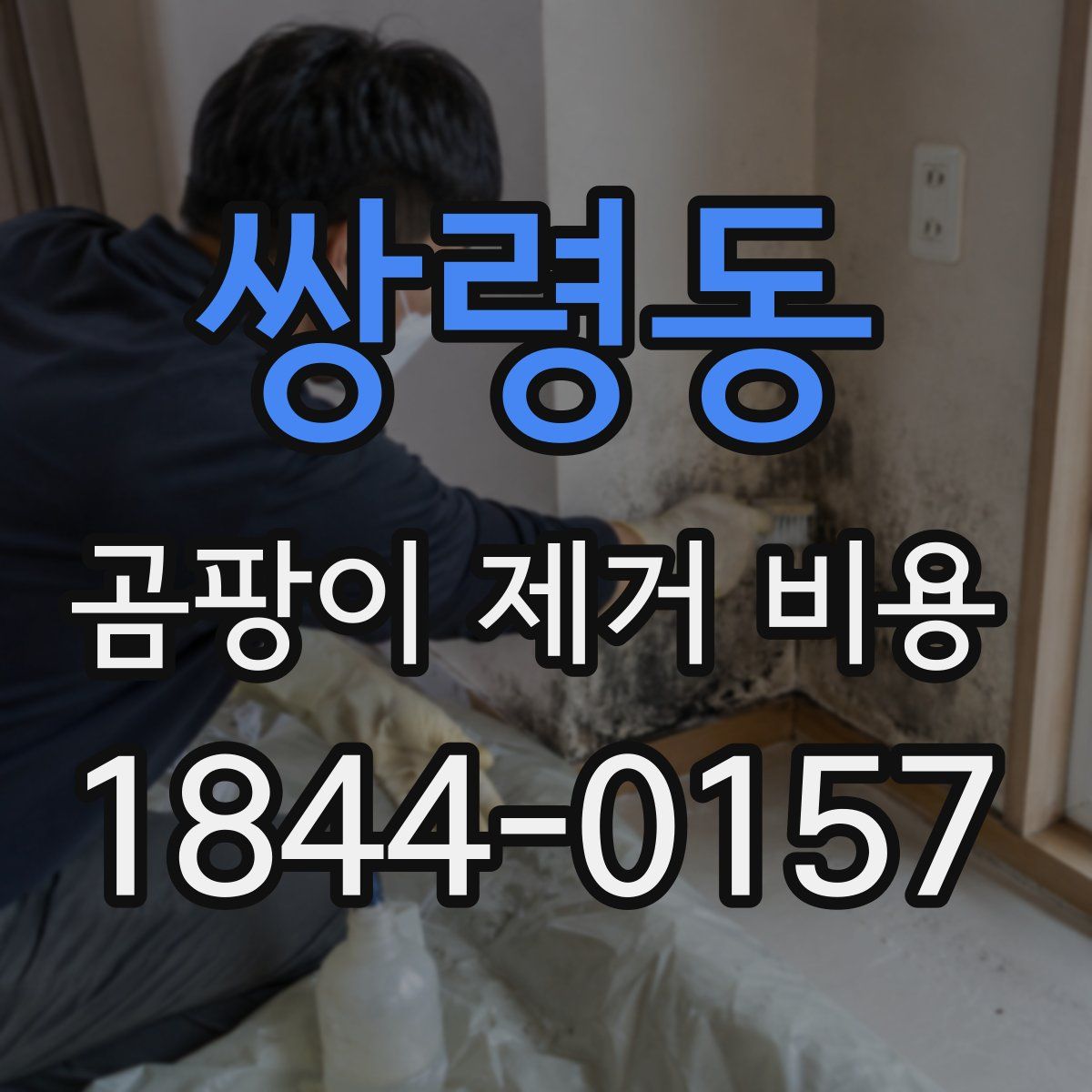 쌍령동 곰팡이 제거 비용