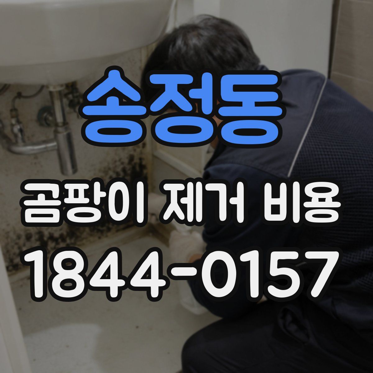 송정동 곰팡이 제거 비용