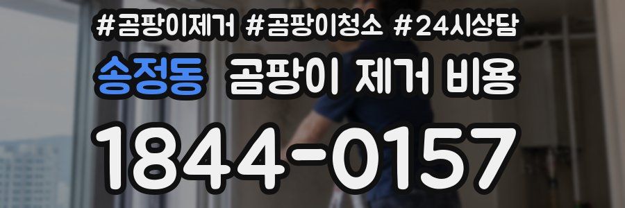 송정동 곰팡이 제거 비용