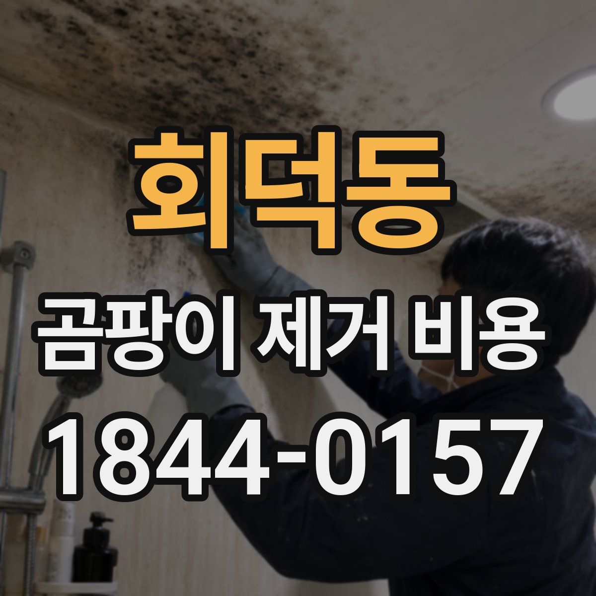 회덕동 곰팡이 제거 비용