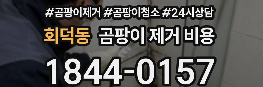 회덕동 곰팡이 제거 비용