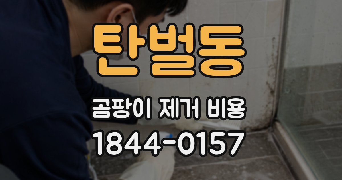 탄벌동 곰팡이 제거 비용