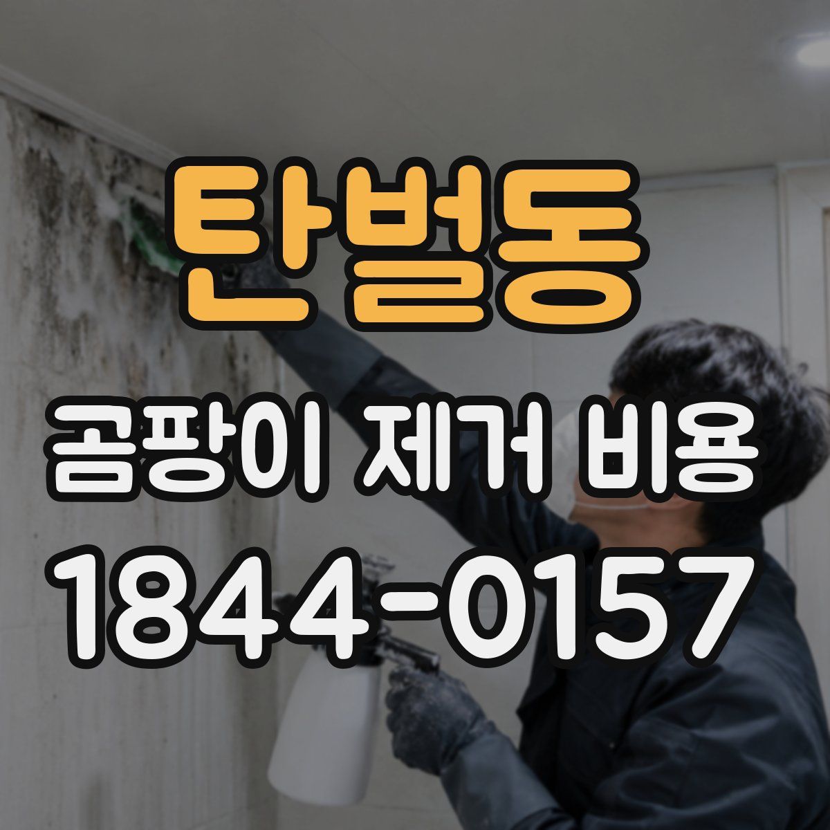탄벌동 곰팡이 제거 비용
