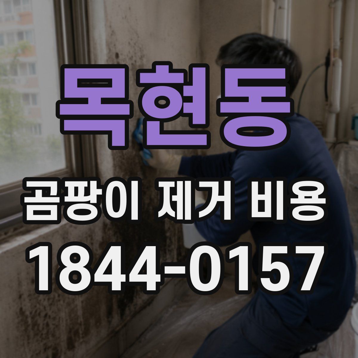 목현동 곰팡이 제거 비용