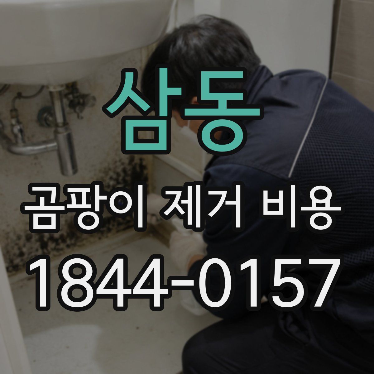 삼동 곰팡이 제거 비용