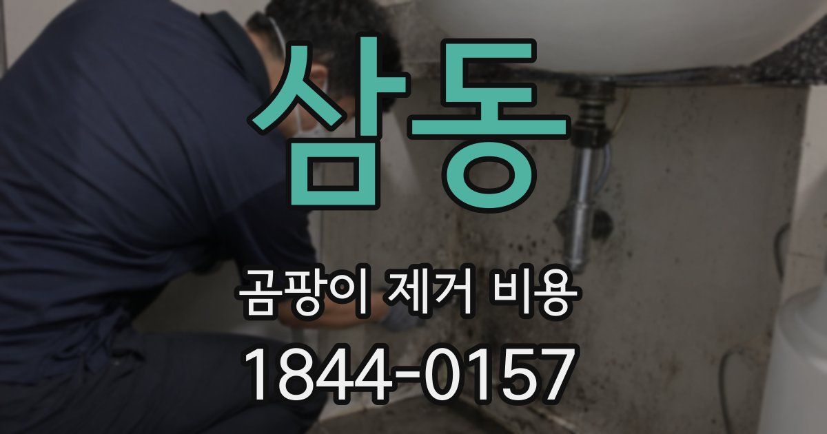 삼동 곰팡이 제거 비용